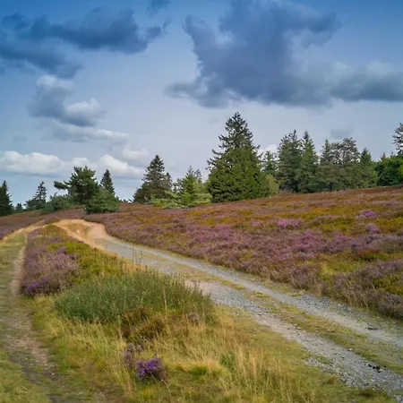 Grosses Apartment, Top-lage, & Berge, Sauna Apartament Winterberg