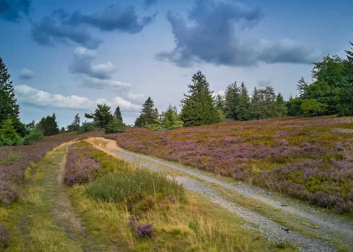 Grosses Apartment, Top-lage, & Berge, Sauna Lägenhet Winterberg
